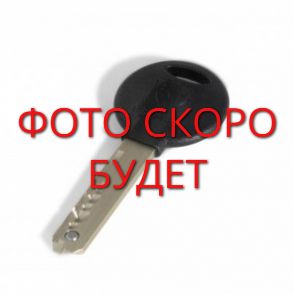 NE306025326 Заготовка ключа для цилиндров серии Saturn