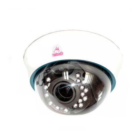 Sarmatt SR-ID25V2812IRL Купольная IP камера видеонаблюдения