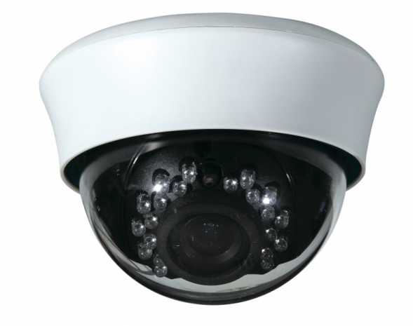 AltCam DDV21IR камера видеонаблюдения 