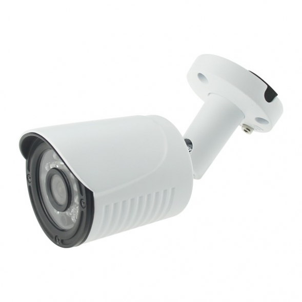 AltCam ICF24IR-2 Уличная IP видеокамера
