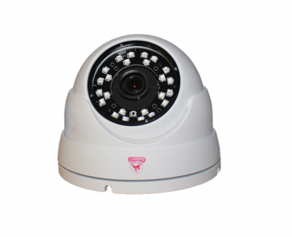 Sarmatt SR-IS25F36IRLSD Вандалозащищенная купольная IP камера видеонаблюдения